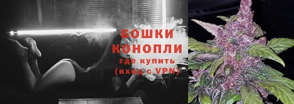 mdpv Заводоуковск
