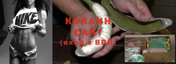 PSILOCYBIN Заволжск