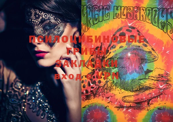 PSILOCYBIN Заволжск