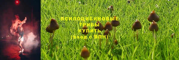 mdpv Заводоуковск