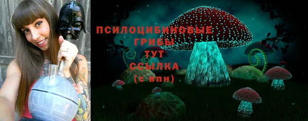 mdpv Заводоуковск